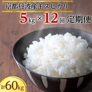 【定期便】令和5年産 米 5kg 12ヶ月 京都丹波産 キヌヒカリ 白米＜JA京都 たわわ朝霧＞ 12回定期便 5kg×12回 計60kg 毎月発送に合わせて精米