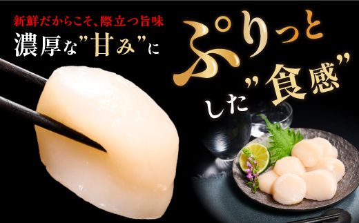 【食べて応援！】総合ランキング1位獲得! オホーツク産お刺身用ホタテ大サイズ（3S）【750g（250g×3）】