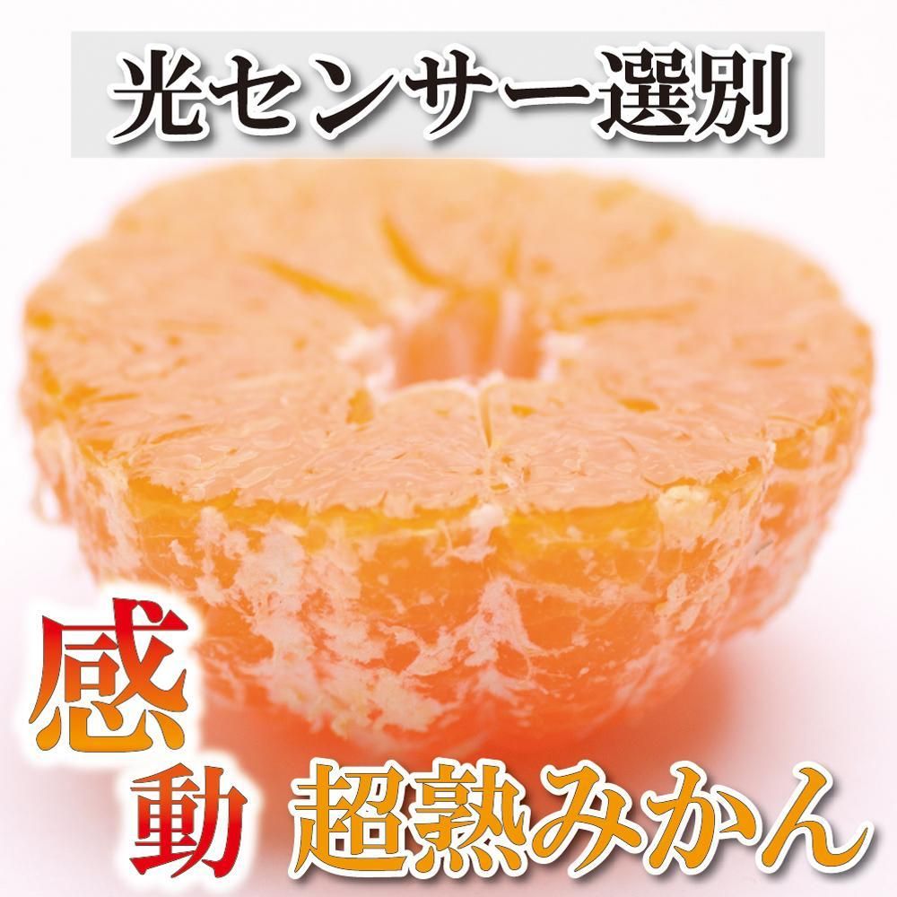 [2024年11月より発送]家庭用 超熟有田みかん2kg+60g(傷み補償分)[わけあり・訳あり][光センサー選果]