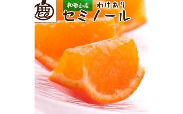 家庭用セミノールオレンジ4.5kg+135g(傷み補償分)有田産 訳あり[2024年4月より発送]BB90036