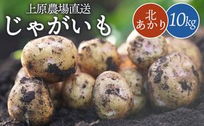 【上原農場直送】じゃがいも（北あかり） 10kg【SS～3Lサイズ混合】 【66004】