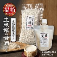 【福箱★2025】新鮮・生米麹　出来たてを真空パックして長期保存可能　250g×10袋／お米と米麹のみで作ったストレート甘酒ノンアルコール・国産米使用・飲む点滴　150g×２個 H140-025