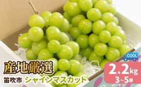 【2026年発送★先行予約】産地厳選シャインマスカット2.2kg（3房～5房）106-004-26y 