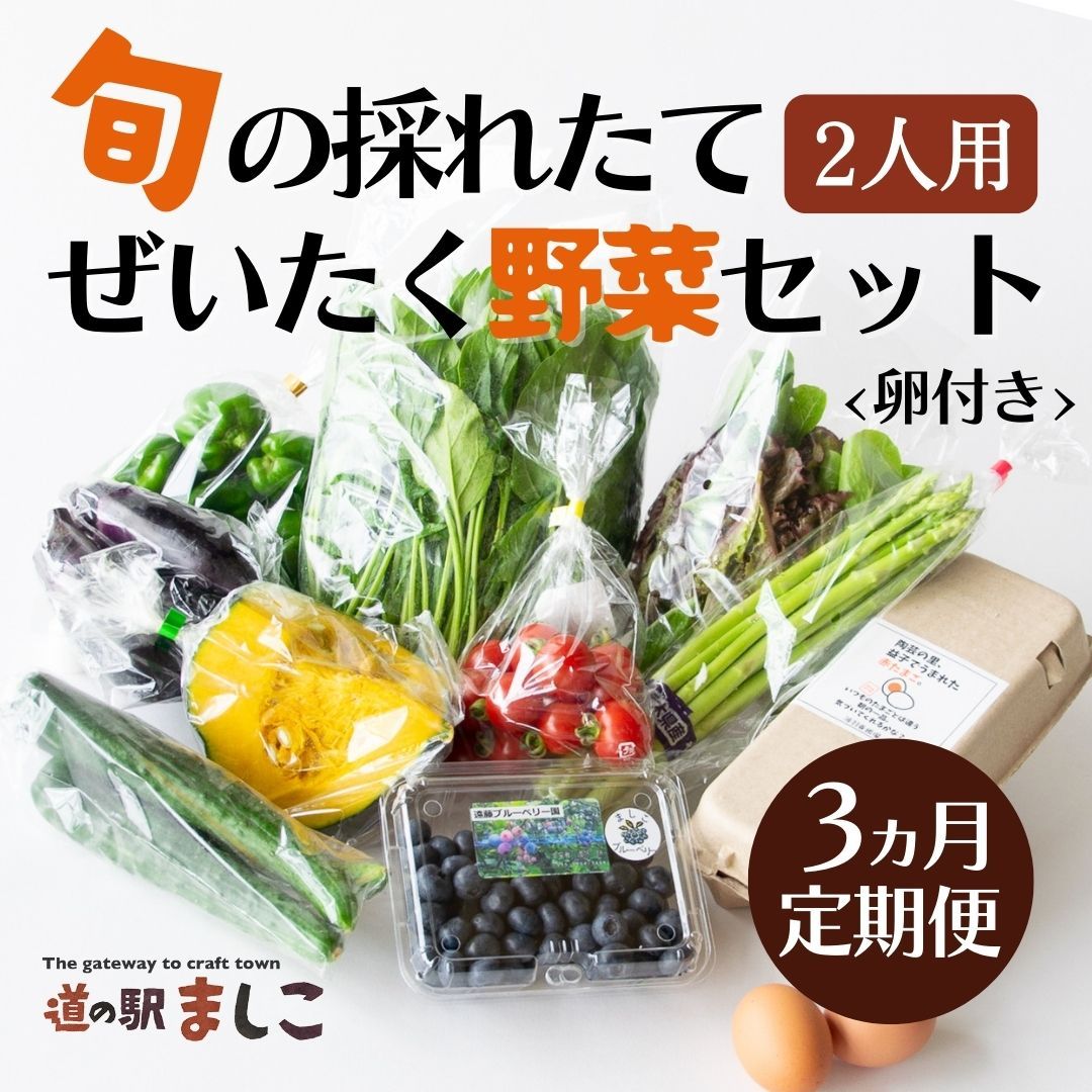 [3ヶ月定期便]旬の採れたてぜいたく野菜セット(卵付き)2人用 益子町 ふるさと納税 やさい 野菜 セット 旬 野菜 採れたて