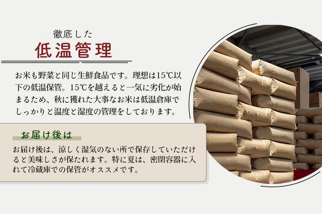 一時休止中※秋田県産 あきたこまち 20kg【無洗米】(5kg小分け袋)【1回