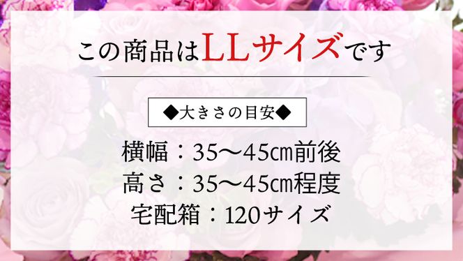 【 6ヶ月 定期便 】 癒し の フラワー セラピー アレンジメント LLサイズ お花 花 はな アレンジ リラックス リフレッシュ ストレス [CT130ci]