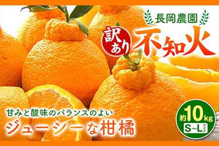 [先行受付][訳あり]不知火 ( デコポン )と同品種 約 10kg 長岡農園[2月中旬-4月上旬頃出荷] 和歌山県 日高川町 訳あり---wshg_ngk12_2c4j_24_15000_10kg---