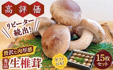 肉厚生椎茸 秀品15枚セット / 生しいたけ 生シイタケ きのこ キノコ 茸 / 南島原市 / サンエスファーム [SBX001]