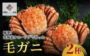 ＜限定＞極寒！北海道オホーツクで育った ”毛ガニ” 2杯 BHRI032