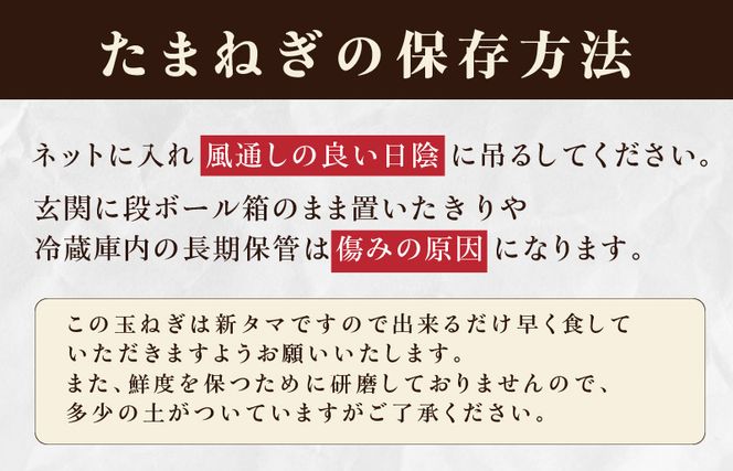 G859 射手矢さんちの泉州プレミアムたまねぎ 20kg 