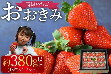 ＜高級いちご「おおきみ」（15粒入り×1パック約380g以上）＞2025年1月下旬～4月末迄に順次出荷【a0285_sn】