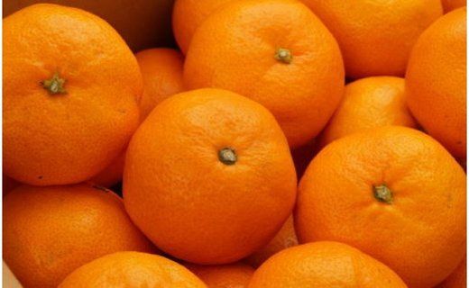 [秀品]和歌山有田みかん約5kg(SまたはMサイズ) ★2025年11月中旬頃より順次発送［TM97w］BZ055