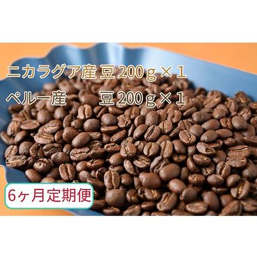 C-37【6ヶ月定期便】カフェ・フランドル厳選　コーヒー豆　ニカラグア産(200g×1)ペルー産(200g×1)