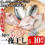 数量限定！阿久根市産の旬の一夜干しグルメ＜A＞セット(鯛・アジ・イカ・サバなど)国産 鮮魚 詰め合わせ お楽しみ 海の幸 魚介類 干物 海鮮【さるがく水産】a-12-205-z