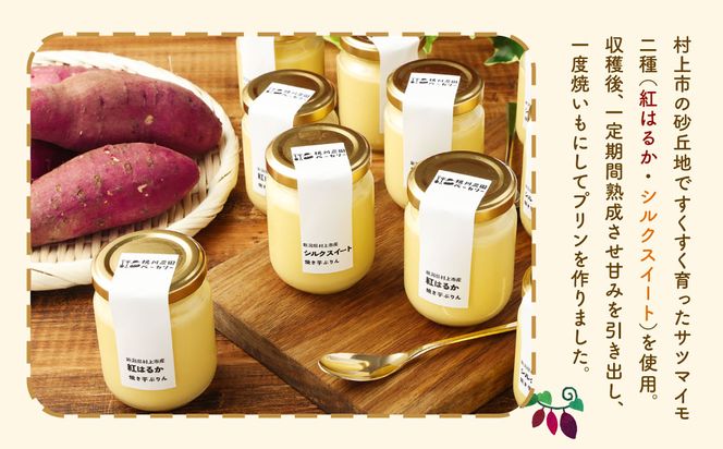 【数量限定】【村上市産 熟成さつまいも使用】焼き芋ぷりん2種（紅はるか・シルクスイート）×6個　計12個セット 1040007