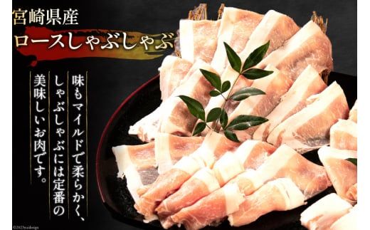 豚肉 宮崎県産 豚のトンカツ・焼肉・しゃぶしゃぶセット 計1.4kg [ミヤチク 宮崎県 日向市 452061589] 肉 ヒレ ロース バラ 冷凍