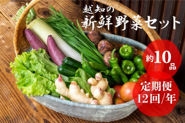 越知産市の季節の野菜セット(年12回発送)　産地直送　旬野菜