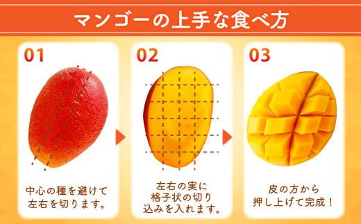 ＜宮崎県産 完熟マンゴー 3L×2玉(合計 約900g)＞※2026年5月上旬～7月中旬までに順次出荷 マンゴー 果物 くだもの フルーツ 完熟 南国