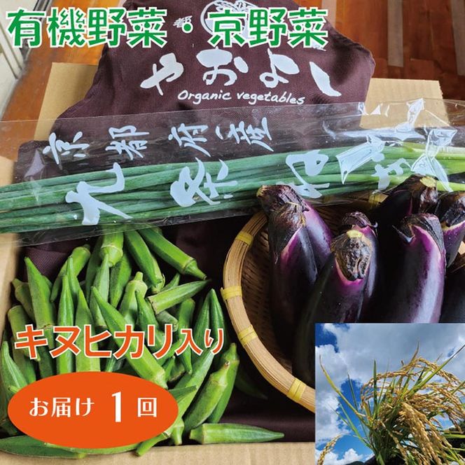 令和6年新米 京都玄米 ヒノヒカリ 農薬不使用 有機肥料 10キロ
