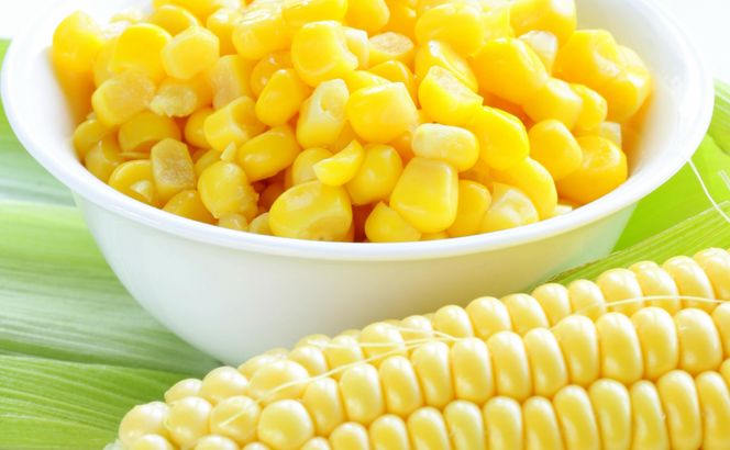 【2026年発送★先行予約】笛吹市八代産とうもろこし「ゴールドラッシュ」2.4kg 167-003-26y