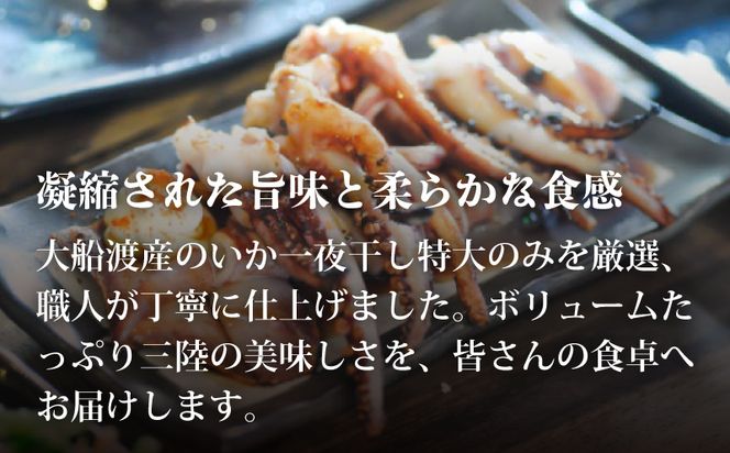 いか 一夜干し 大 6尾 いか イカ 烏賊 squid バーベキュー BBQ 炙り 炙り焼き 夕飯 おかず おつまみ 晩酌 海産物 海鮮 魚介 魚介類 大船渡 三陸 岩手県 国産[56500390_4]