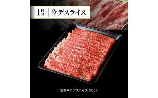 【定期便】宮崎牛３ヶ月定期便Ｂ‐２【 国産 九州産 肉 牛 宮崎県産 牛肉 黒毛和牛 ミヤチク 全3回 】[D00678t3]