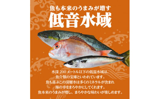【海幸】漬け魚詰合せFK-02　K065-005