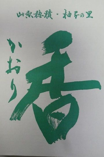 B408飲むゆずゼリー（10個入）