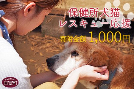 ＜保健所犬猫レスキュー【返礼品なしのご寄附】＞【 動物愛護 愛護活動 保護 犬 猫 いぬ ねこ イヌ ネコ 動物 どうぶつ ペット 応援 支援 寄付 使い道 寄附のみ いのちのはうす保護家 】【b0607_in】