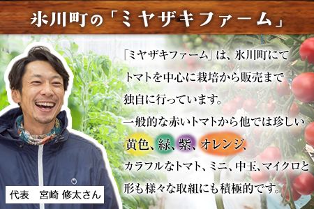 「ミヤザキファーム」 宝石とまと 熊本県氷川町産《12月上旬-6月末頃出荷予定》 小鈴 アイコ イエローアイコ オレンジ千果 みどりちゃん セレブスイート グリーンゼブラ 桃太郎ゴールド トスカーナバイオレット マイクロトマト ---sh_cmiyatmt_ac126_r7_13000_1200g---