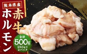 熊本県産赤牛 ホルモン 250g×2パック 合計500g ホルモン もつ モツ 焼き肉 やきにく 冷凍 熊本県産 国産