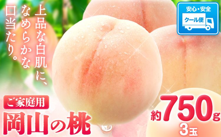 [令和7年度出荷]桃 岡山の桃 3玉 約750g [2025年6月下旬-9月上旬頃出荷] ご家庭用 訳あり 白桃 岡山 はくとう スイーツ フルーツ 果物 デザート 旬 モモ もも 先行予約 送料無料 果物 岡山県 笠岡市 清水白桃 白鳳 白麗 クール便---kasaoka_zsy_3_750---