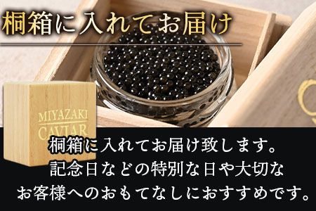 ＜【贈答用】クニトミキャビア 日本酒フレーバー 20g（20g×1）＞翌月末迄に順次出荷【a0646_mc】