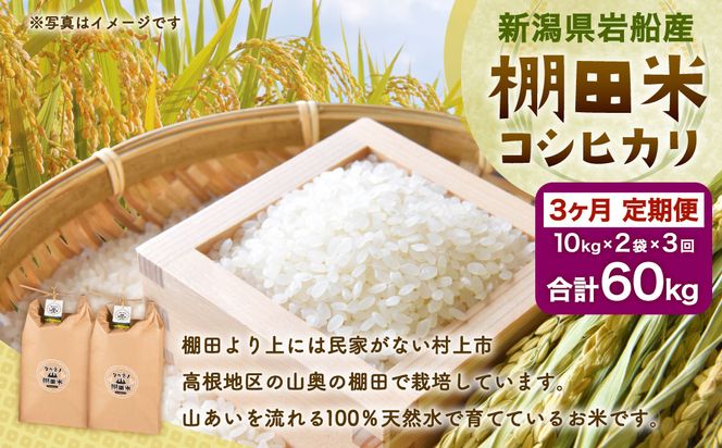 E4012 【令和6年産米】新潟県岩船産  棚田米コシヒカリ20kg×3ヶ月お届け