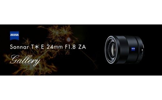 デジタル一眼 カメラα [Eマウント] 用レンズ Sonnar T* E 24mm F1.8 ZA