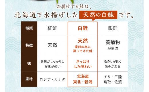 北海道産 新巻鮭（オス）切身セット 5パック ( 海鮮 魚介 魚介類 魚 鮭 サケ さけ しゃけ サーモン 味付き 切身 切り身 甘塩 時短 簡単 真空 パック セット 贈答 贈り物 ギフト プレゼント お中元 御中元 お歳暮 お祝い )【017-0003】