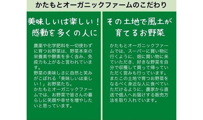 人参 8kg【期間限定】自然栽培の甘い 葉付き人参 京都府・亀岡産 かたもとオーガニックファームよりお届け 《訳あり サイズ不揃い にんじん 国産 京都産 栽培期間中農薬不使用 産地直送》 ※2025年12月から順次発送 ※離島への発送不可