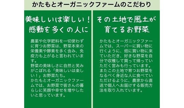 人参 4kg【期間限定】自然栽培の甘い 葉付き人参 京都府・亀岡産 かたもとオーガニックファームよりお届け 《訳あり サイズ不揃い にんじん 国産 京都産 栽培期間中農薬不使用 産地直送》 ※2025年1月～3月頃に順次発送 ※離島への発送不可