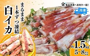 【先行予約】【白イカ約1.5kg（5-8杯程度入）（冷凍）】令和7年7月中旬以降順次発送予定 下処理済み 産地直送 鮮度抜群 大人気 ふるさと納税 香美町 香住 送料無料 白いか 山米鮮魚 74-06