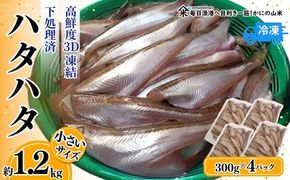 【小さいサイズのハタハタ 計1.2kg（300g×4パック）下処理済み（冷凍）】入金確認後、順次発送 産地直送 鮮度抜群 ハタハタ はたはた 大人気 ふるさと納税 香美町 香住 山米鮮魚 74-07