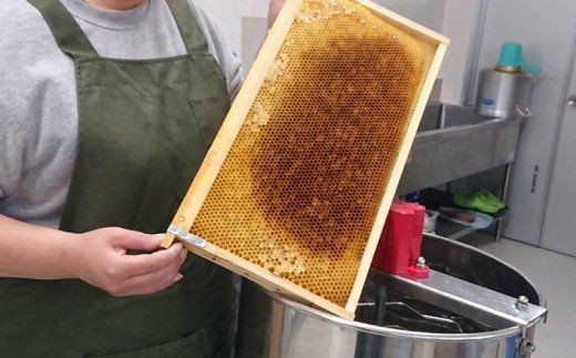 【※削除20240306】【沖縄蜂蜜】人気のはちみつ3種セット（天然はちみつ・にが甘・発酵はちみつ）各280g