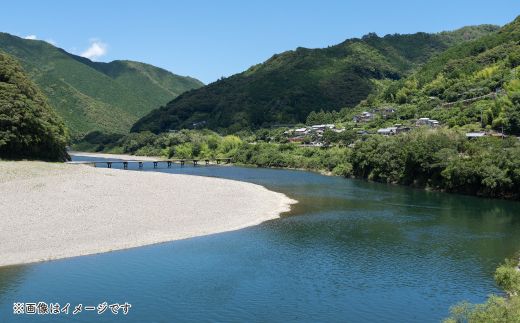 24-948．濃厚な旨み！清流四万十川・天然モクズガニ 約1kg（大小混合）