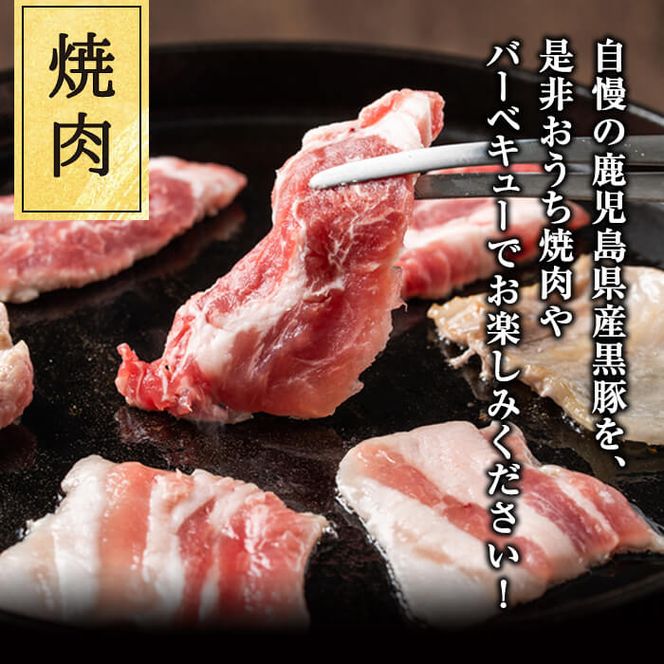 豚の飼養頭数日本一！鹿児島県産黒豚焼肉2種＆焼肉のたれセット計1kg(カタロース約500g・バラ約500g・たれ210g) a4-035