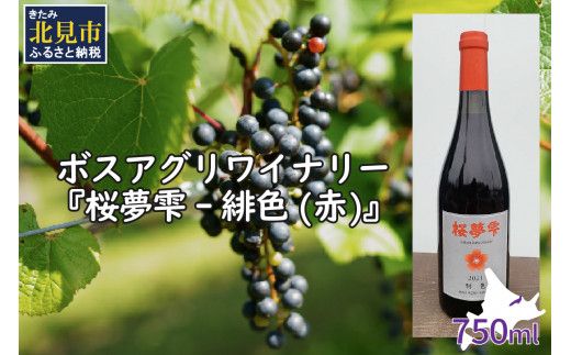 北見産ぶどう100％のワイン 桜夢雫 緋色 赤 ( ワイン 国産 ブドウ 辛口 )【075-0005】