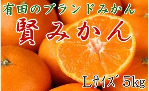 [秀品]有田のブランド「賢みかん」5kg(Lサイズ) 【2025年11月中旬頃より順次発送】 BZ009