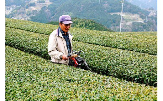 香り高いお茶セット（R）