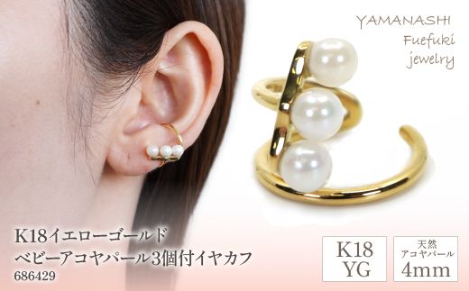 yRJszK18CG[S[h@xr[ARp[3t@CJt@Ǘԍ686429 218-100