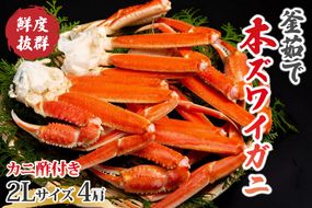 【大好評！カニ酢付き】厳選！！釜茹で　本ズワイガニ　２Lサイズ4肩　YK00200