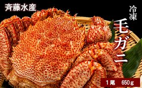 大サイズ！冷凍毛がに約650g×1尾【斉藤水産】 AM143