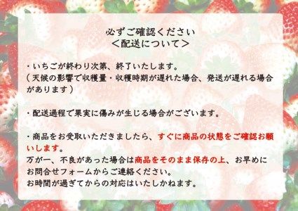 [先行予約・歴代王者と期待の新人] とちおとめ×とちあいか食べ比べセット1200g (12月中旬より順次発送予定)｜いちご イチゴ 苺 フルーツ 果物 産地直送 栃木県産 矢板市産 [0423]